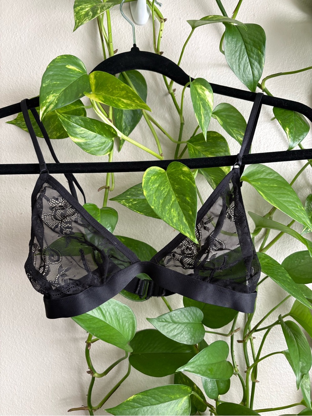 Sheer Lace Bralette - Black